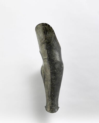 cnémide, image 2/2