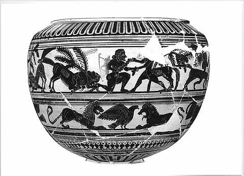 dinos, image 8/9