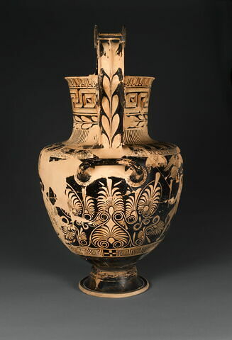 nestoris, image 2/14