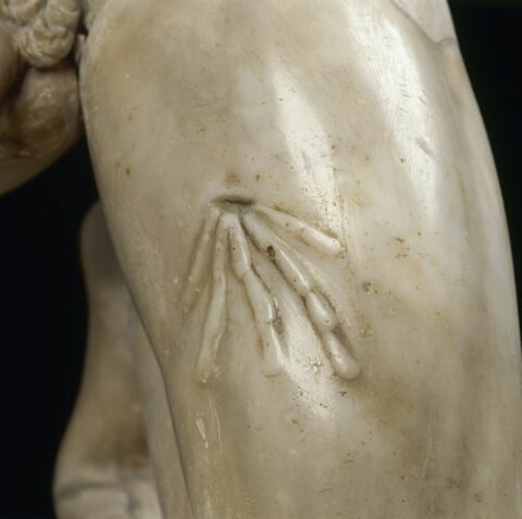 Gaulois blessé, image 7/9