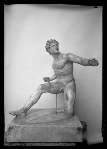 Gaulois blessé, image 9/9