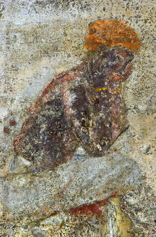 métope, image 4/10