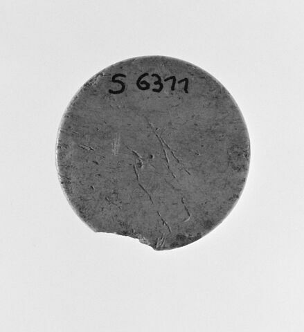 pion, image 2/2