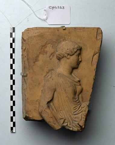 plaque Campana