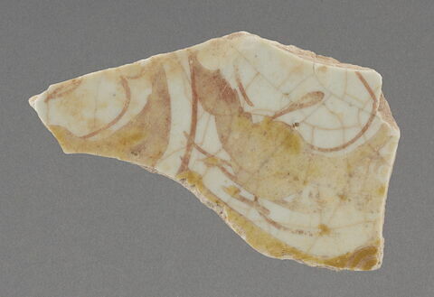 Fragment de paroi de coupe