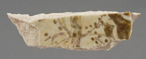 Fragment de paroi