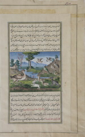 Les animaux assemblés autour d'une autruche (page d'un « Lumières de Canope »), image 3/4