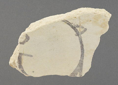 Fragment de fond de coupe