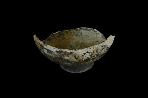 Coupe fragmentaire sur piédouche, image 2/3