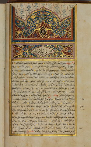 Dictionnaire (Qamus) de Firuzabadi offert à Napoléon III, image 8/16