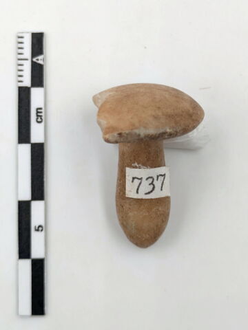 boucle d'oreille en champignon, image 4/4