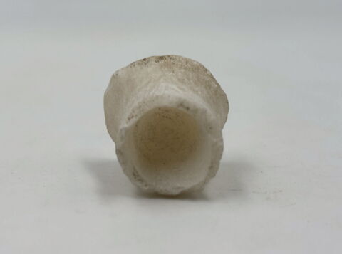 bouchon de vase, image 6/6