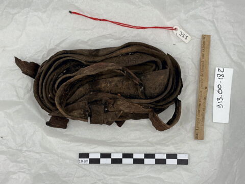 lanière  ; bandelette, image 2/3