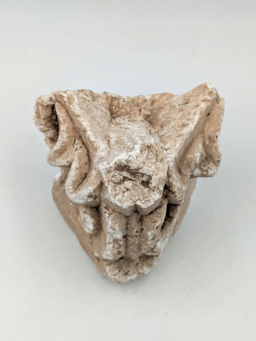 chapiteau, image 3/6