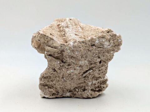 chapiteau, image 4/6