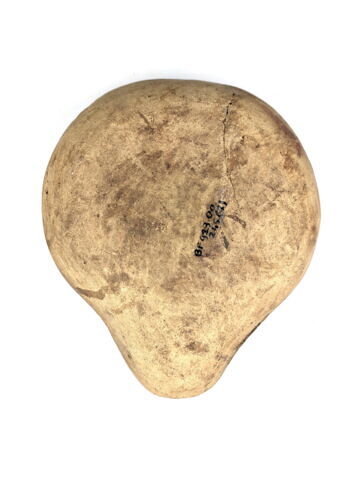 lampe à la grenouille stylisée, image 2/3