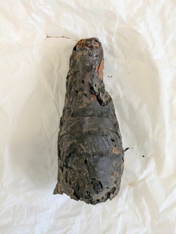 pseudo-momie, image 3/7