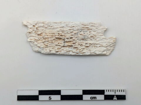 plaquette  ; couvercle de boîte, image 2/2