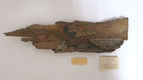 cercueil ; fragment, image 2/4