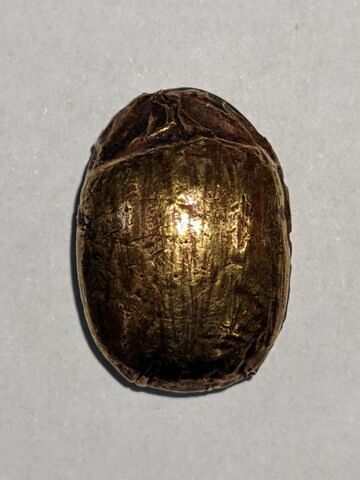 scarabée, image 2/3