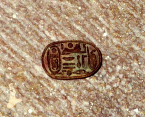scarabée, image 7/7