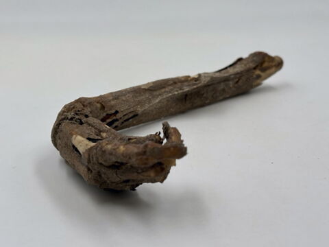 squelette, image 10/13