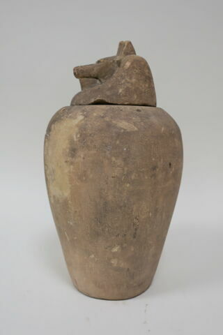 vase canope ; élément momifié, image 3/5