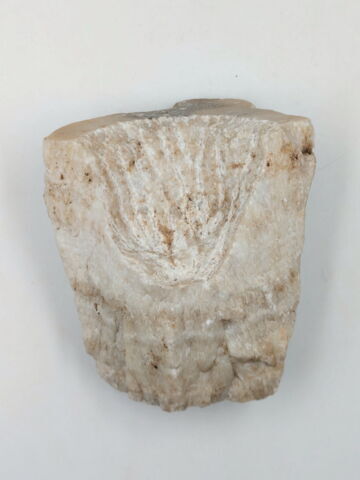 mortier à oreilles, image 3/4