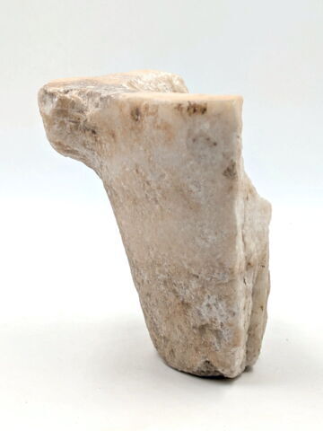 mortier à oreilles, image 4/4