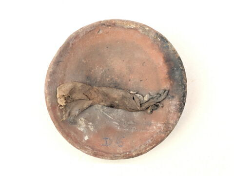 lampe ; coupe ; mèche