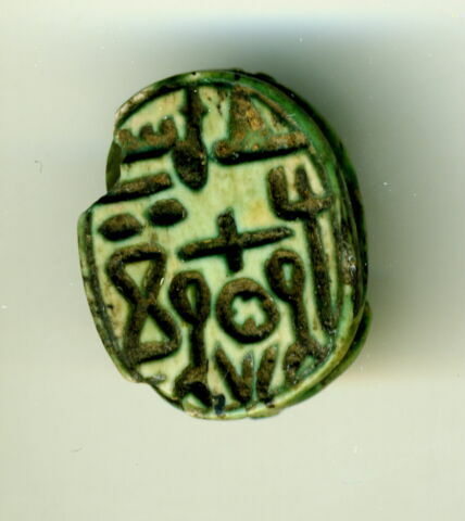 scarabée détaillé