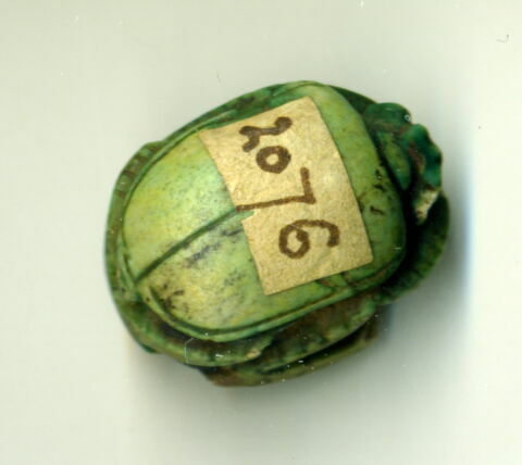 scarabée détaillé, image 2/2