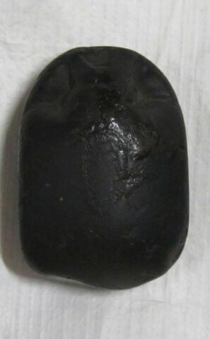 scarabée, image 2/4