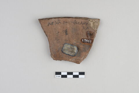 ostracon, image 2/4