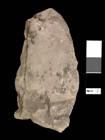 ostracon