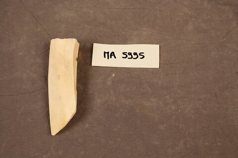 fragment indéterminé