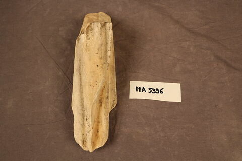 fragment