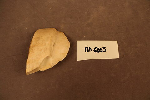 fragment