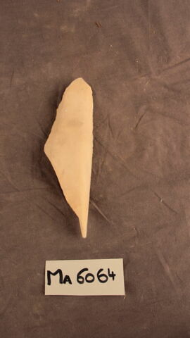 fragment