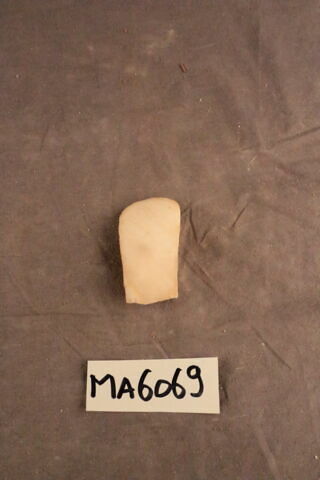 fragment, image 2/2
