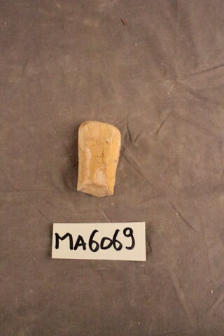 fragment