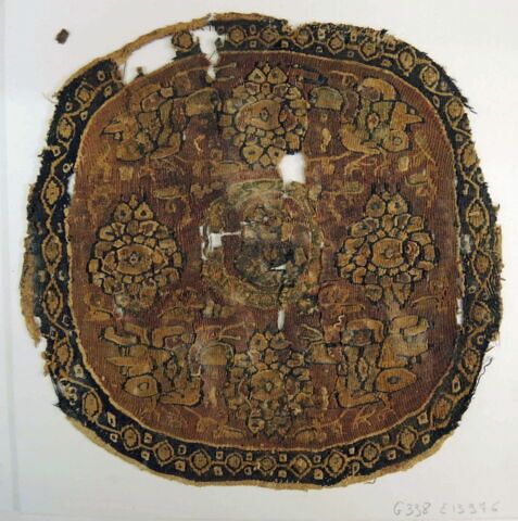 orbiculus ; fragment, image 2/2