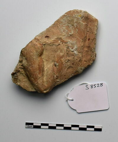 plaque Campana