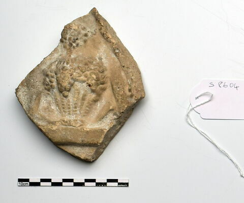 plaque Campana
