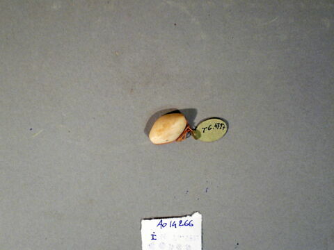 cachet ; perle