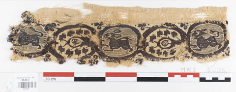 clavus ; fragment