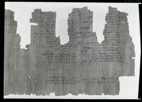 papyrus documentaire, image 15/18