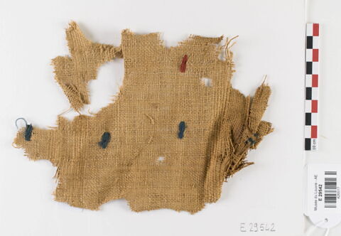 tissu ; fragment