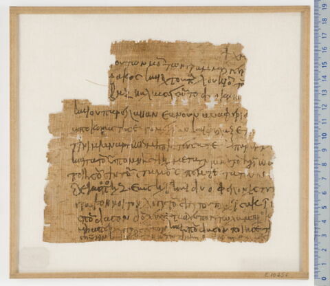 papyrus