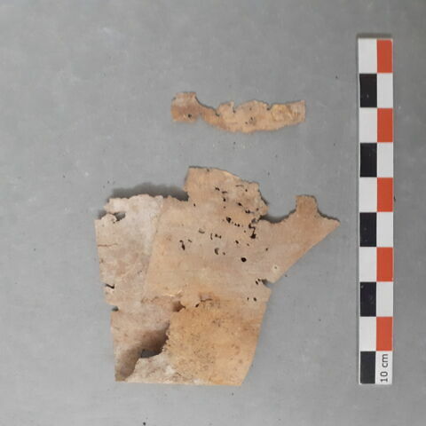 vêtement et pièce d'habillement, image 2/2